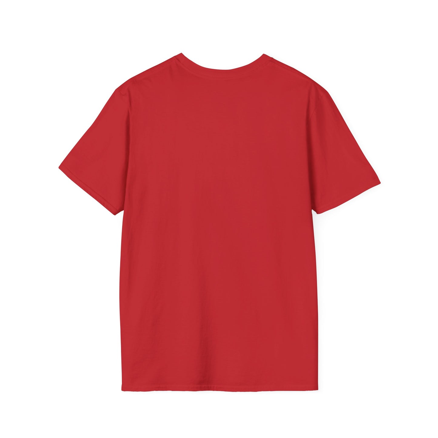 America Pink Flag Tee